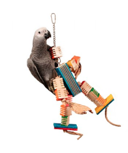 Groovy Dancer Parrot Toy